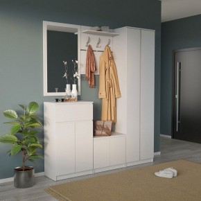 Шкаф платяной ШО-4 в Когалыме - kogalym.mebel24.online | фото 6