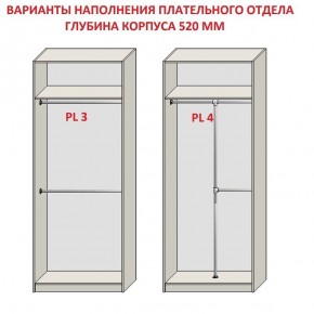 Шкаф распашной серия «ЗЕВС» (PL3/С1/PL2) в Когалыме - kogalym.mebel24.online | фото 10