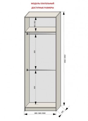 Шкаф распашной серия «ЗЕВС» (PL3/С1/PL2) в Когалыме - kogalym.mebel24.online | фото 12