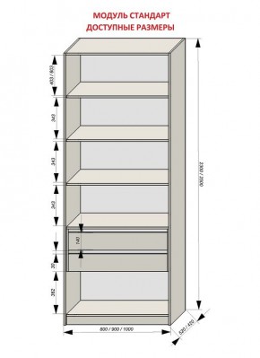 Шкаф распашной серия «ЗЕВС» (PL3/С1/PL2) в Когалыме - kogalym.mebel24.online | фото 13