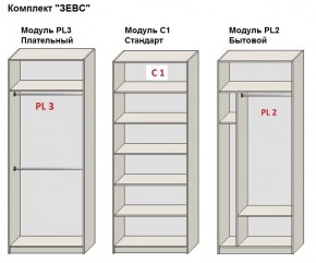 Шкаф распашной серия «ЗЕВС» (PL3/С1/PL2) в Когалыме - kogalym.mebel24.online | фото 2