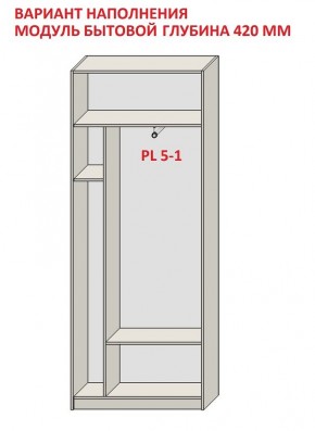 Шкаф распашной серия «ЗЕВС» (PL3/С1/PL2) в Когалыме - kogalym.mebel24.online | фото 4