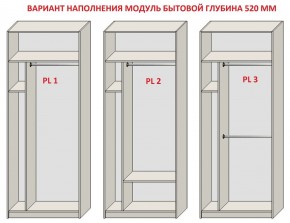 Шкаф распашной серия «ЗЕВС» (PL3/С1/PL2) в Когалыме - kogalym.mebel24.online | фото 5