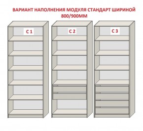 Шкаф распашной серия «ЗЕВС» (PL3/С1/PL2) в Когалыме - kogalym.mebel24.online | фото 6