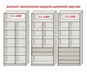 Шкаф распашной серия «ЗЕВС» (PL3/С1/PL2) в Когалыме - kogalym.mebel24.online | фото 7