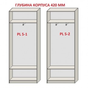 Шкаф распашной серия «ЗЕВС» (PL3/С1/PL2) в Когалыме - kogalym.mebel24.online | фото 8