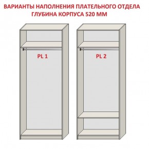 Шкаф распашной серия «ЗЕВС» (PL3/С1/PL2) в Когалыме - kogalym.mebel24.online | фото 9