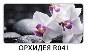 Стол раздвижной Бриз лайм R156 Доска D110 в Когалыме - kogalym.mebel24.online | фото 18