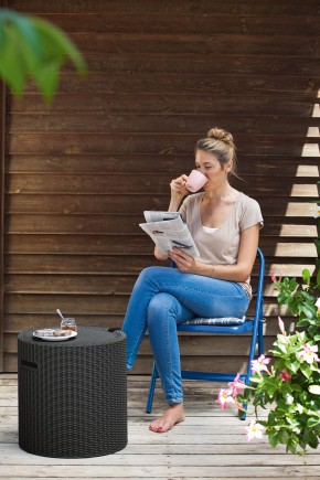 Столик-холодильник Кул-Стул (Cool stool) коричневый в Когалыме - kogalym.mebel24.online | фото 2