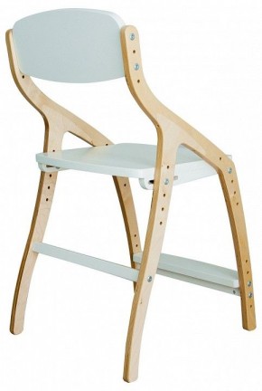Стул Эверест в Когалыме - kogalym.mebel24.online | фото 3