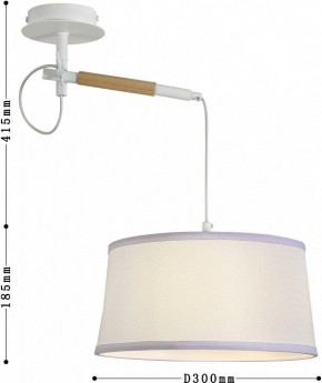 Светильник на штанге F-promo Eureka 3005-1P в Когалыме - kogalym.mebel24.online | фото 5