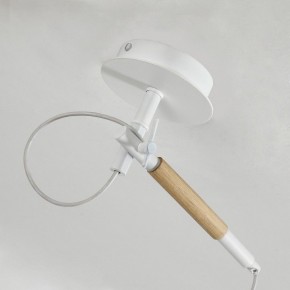 Светильник на штанге F-promo Eureka 3005-1P в Когалыме - kogalym.mebel24.online | фото 8