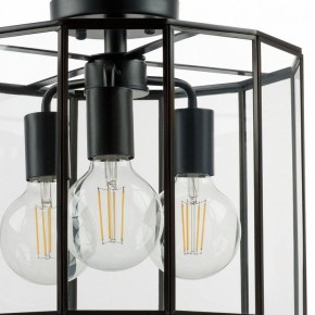 Светильник на штанге Lightstar Genni 798237 в Когалыме - kogalym.mebel24.online | фото 4
