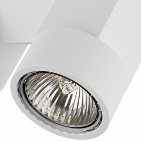 Светильник на штанге Lightstar Illumo X2 051036 в Когалыме - kogalym.mebel24.online | фото 2