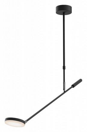 Светильник на штанге Maytoni Fad MOD070CL-L8B3K в Когалыме - kogalym.mebel24.online | фото
