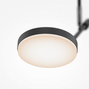Светильник на штанге Maytoni Fad MOD070CL-L8B3K в Когалыме - kogalym.mebel24.online | фото 4