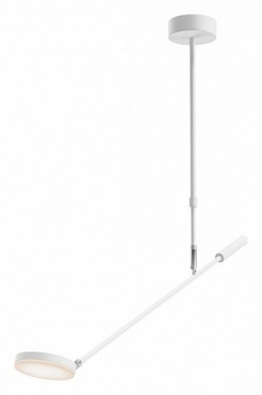 Светильник на штанге Maytoni Fad MOD070CL-L8W3K в Когалыме - kogalym.mebel24.online | фото