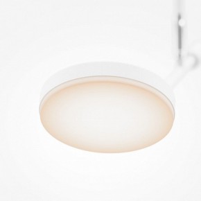 Светильник на штанге Maytoni Fad MOD070CL-L8W3K в Когалыме - kogalym.mebel24.online | фото 4