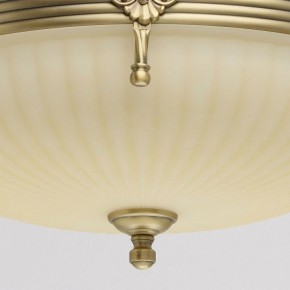 Светильник на штанге MW-Light Афродита 1 317011504 в Когалыме - kogalym.mebel24.online | фото 4