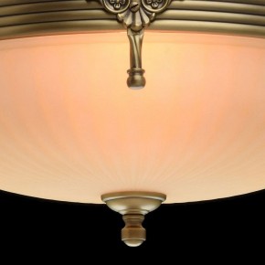 Светильник на штанге MW-Light Афродита 1 317011504 в Когалыме - kogalym.mebel24.online | фото 5