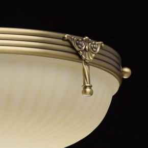 Светильник на штанге MW-Light Афродита 1 317011504 в Когалыме - kogalym.mebel24.online | фото 8