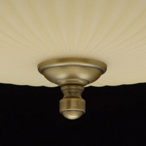 Светильник на штанге MW-Light Афродита 1 317011504 в Когалыме - kogalym.mebel24.online | фото 9