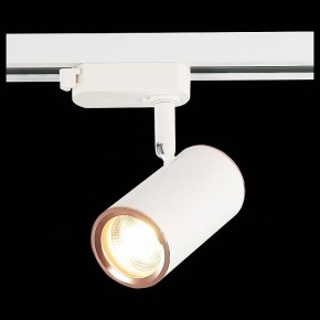 Светильник на штанге ST-Luce Cromi ST301.526.01 в Когалыме - kogalym.mebel24.online | фото 6