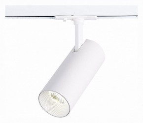 Светильник на штанге ST-Luce Mono ST350.536.20.36 в Когалыме - kogalym.mebel24.online | фото 2