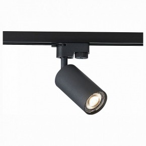 Светильник на штанге ST-Luce Solt ST300.406.01 в Когалыме - kogalym.mebel24.online | фото 1