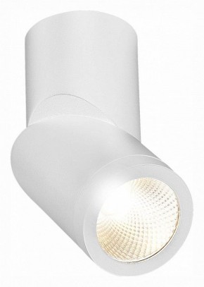 Светильник на штанге ST-Luce ST650 ST650.532.10 в Когалыме - kogalym.mebel24.online | фото 3