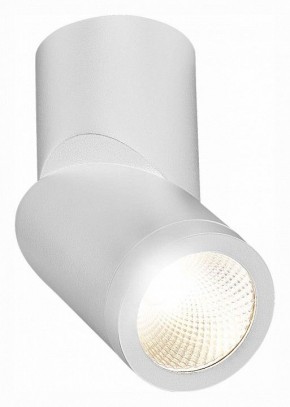Светильник на штанге ST-Luce ST650 ST650.542.10 в Когалыме - kogalym.mebel24.online | фото 3