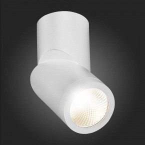 Светильник на штанге ST-Luce ST650 ST650.542.10 в Когалыме - kogalym.mebel24.online | фото 6