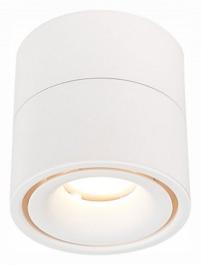 Светильник на штанге ST-Luce ST652 ST652.532.12 в Когалыме - kogalym.mebel24.online | фото 2