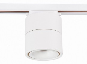 Светильник на штанге ST-Luce ST652 ST652.546.12 в Когалыме - kogalym.mebel24.online | фото 2