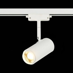 Светильник на штанге ST-Luce Zoom ST600.536.12 в Когалыме - kogalym.mebel24.online | фото 4