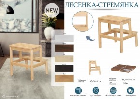 Табурет Стремянка в Когалыме - kogalym.mebel24.online | фото 6