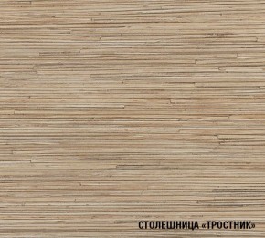 ТОМИЛЛА Кухонный гарнитур Прайм 4 (900*2000 мм ) в Когалыме - kogalym.mebel24.online | фото 6