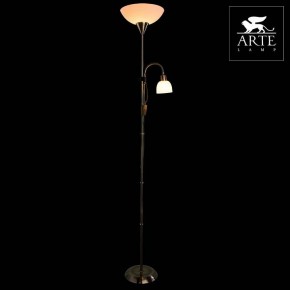 Торшер с подсветкой Arte Lamp Duetto A9569PN-2AB в Когалыме - kogalym.mebel24.online | фото 3