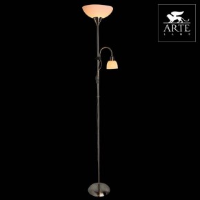 Торшер с подсветкой Arte Lamp Duetto A9569PN-2SS в Когалыме - kogalym.mebel24.online | фото 3