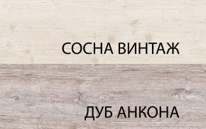 Тумба RTV 1D2SN, MONAKO, цвет Сосна винтаж/дуб анкона в Когалыме - kogalym.mebel24.online | фото 3