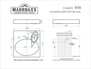 Умывальник над стиральной машиной (600*545*80) Смайл V55D1 (белый) с кронштейном без сифона (V55D1) в Когалыме - kogalym.mebel24.online | фото 2