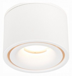 Встраиваемый светильник на штанге ST-Luce ST652 ST652.548.12 в Когалыме - kogalym.mebel24.online | фото 3